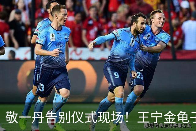 敬一丹告别仪式现场！王宁金龟子现身送别，多位主持人忍不住哭泣